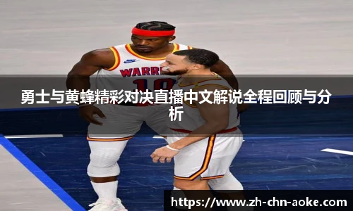 勇士与黄蜂精彩对决直播中文解说全程回顾与分析