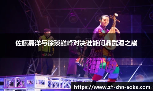 佐藤嘉洋与徐琰巅峰对决谁能问鼎武道之巅